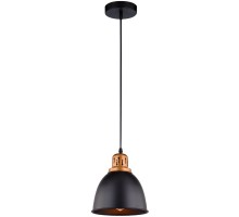 Подвесной светильник Eurica A4245SP-1BK Arte Lamp