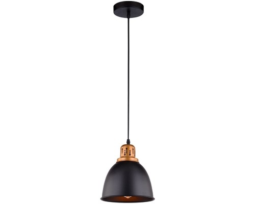 Подвесной светильник Eurica A4245SP-1BK Arte Lamp