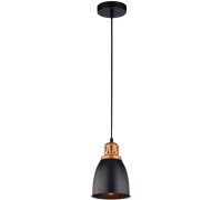 Подвесной светильник Eurica A4248SP-1BK Arte Lamp