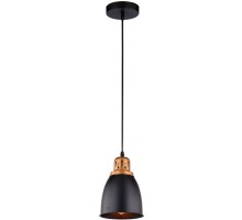 Подвесной светильник Eurica A4248SP-1BK Arte Lamp