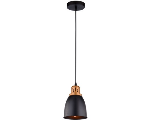 Подвесной светильник Eurica A4248SP-1BK Arte Lamp