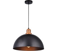 Подвесной светильник Eurica A4249SP-1BK Arte Lamp