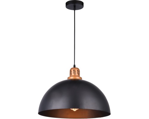 Подвесной светильник Eurica A4249SP-1BK Arte Lamp