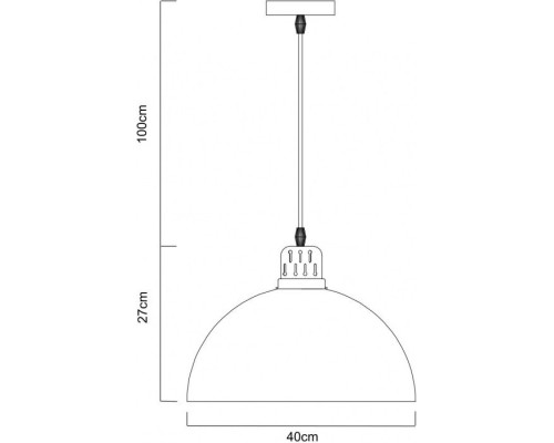 Подвесной светильник Eurica A4249SP-1BK Arte Lamp