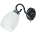 Бра Krit A4505AP-1BK Arte Lamp