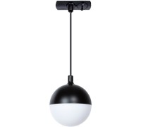 Трековый светильник Virgo A4564PL-1BK Arte Lamp
