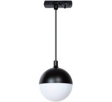 Трековый светильник Virgo A4564PL-1BK Arte Lamp