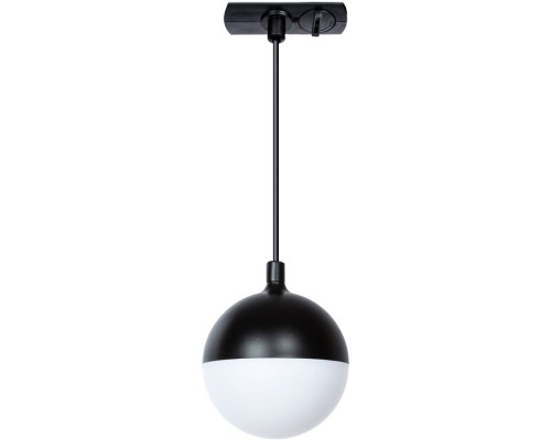 Трековый светильник Virgo A4564PL-1BK Arte Lamp
