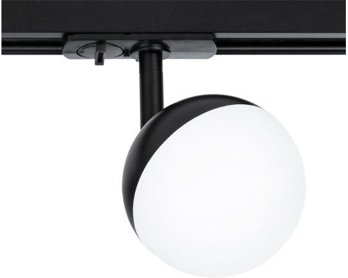 Трековый светильник Virgo A4565PL-1BK Arte Lamp