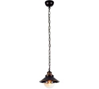 Подвесной светильник Grazioso A4577SP-1CK Arte Lamp