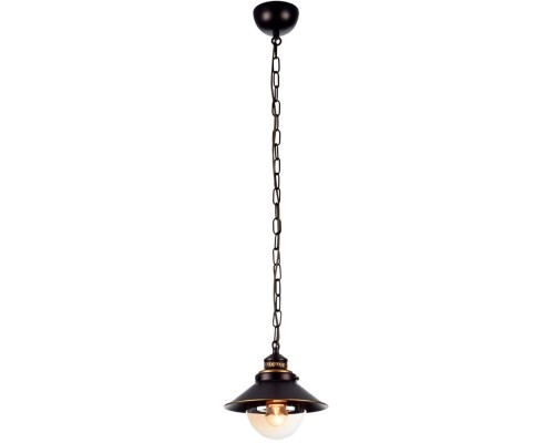 Подвесной светильник Grazioso A4577SP-1CK Arte Lamp