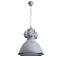 Подвесной светильник Warhol A5014SP-1BG Arte Lamp