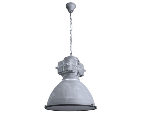 Подвесной светильник Warhol A5014SP-1BG Arte Lamp