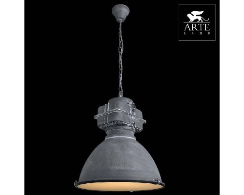 Подвесной светильник Warhol A5014SP-1BG Arte Lamp