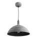 Подвесной светильник Loft A5026SP-1GY Arte Lamp