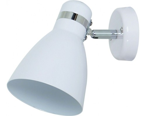 Спот Mercoled A5049AP-1WH Arte Lamp