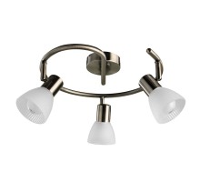 Спот Parry A5062PL-3AB Arte Lamp