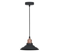 Подвесной светильник Lido A5067SP-1BK Arte Lamp