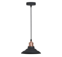 Подвесной светильник Lido A5067SP-1BK Arte Lamp