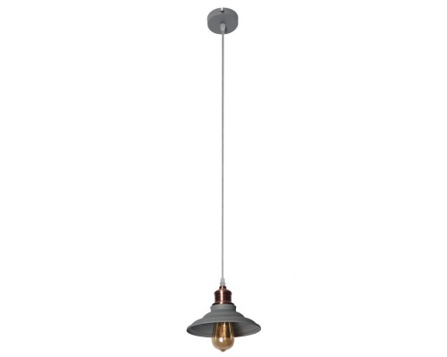 Подвесной светильник Lido A5067SP-1GY Arte Lamp