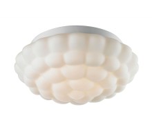Потолочный светильник Aqua A5130PL-2WH Arte Lamp