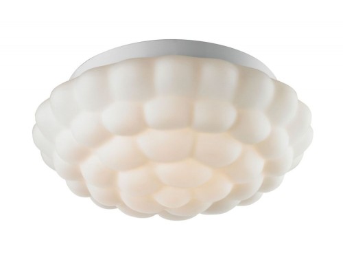 Потолочный светильник Aqua A5130PL-2WH Arte Lamp