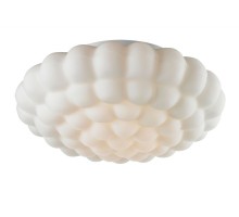 Потолочный светильник Aqua A5130PL-3WH Arte Lamp