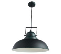 Подвесной светильник Martin A5213SP-1BG Arte Lamp