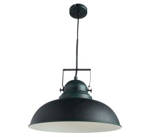 Подвесной светильник Martin A5213SP-1BG Arte Lamp