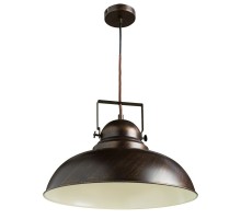 Подвесной светильник Martin A5213SP-1BR Arte Lamp