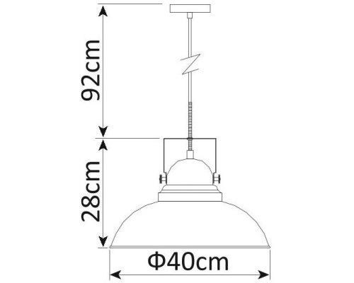 Подвесной светильник Martin A5213SP-1BR Arte Lamp