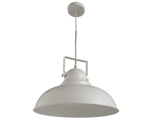 Подвесной светильник Martin A5213SP-1WG Arte Lamp