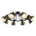 Потолочная люстра Martin A5216PL-8AB Arte Lamp