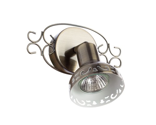 Спот Focus A5219AP-1AB Arte Lamp