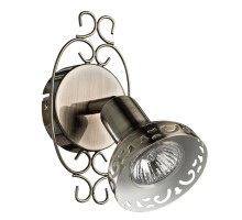 Спот Focus A5219AP-1BR Arte Lamp