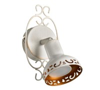 Спот Focus A5219AP-1WG Arte Lamp