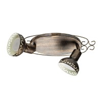 Спот Focus A5219AP-2BR Arte Lamp