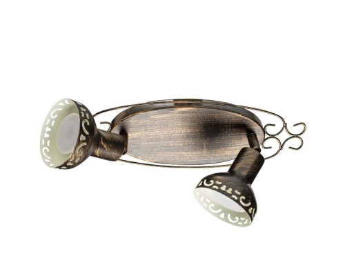 Спот Focus A5219AP-2BR Arte Lamp