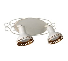 Спот Focus A5219AP-2WG Arte Lamp