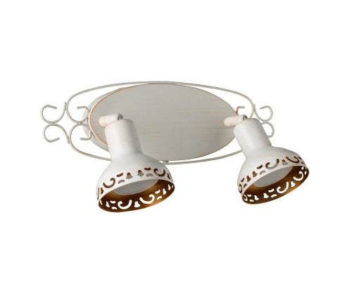 Спот Focus A5219AP-2WG Arte Lamp