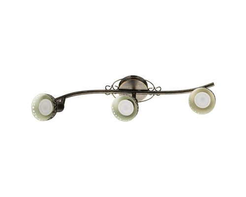 Спот Focus A5219PL-3BR Arte Lamp