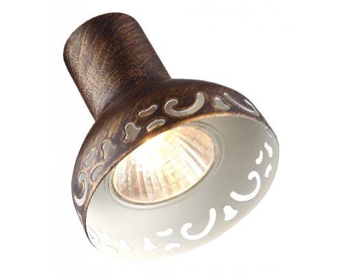 Спот Focus A5219PL-3BR Arte Lamp