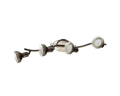 Спот Focus A5219PL-4BR Arte Lamp