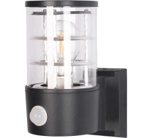 Настенный светильник уличный Tokyo A5316AL-1BK Arte Lamp