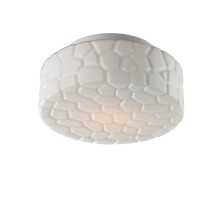 Потолочный светильник Aqua A5320PL-1WH Arte Lamp