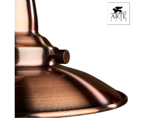 Подвесной светильник Fisherman A5518SP-1RB Arte Lamp