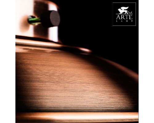 Подвесной светильник Fisherman A5530SP-1RB Arte Lamp