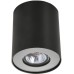 Потолочный светильник Falcon A5633PL-1BK Arte Lamp