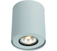 Потолочный светильник Falcon A5633PL-1WH Arte Lamp
