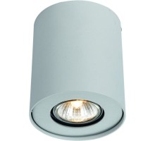 Потолочный светильник Falcon A5633PL-1WH Arte Lamp